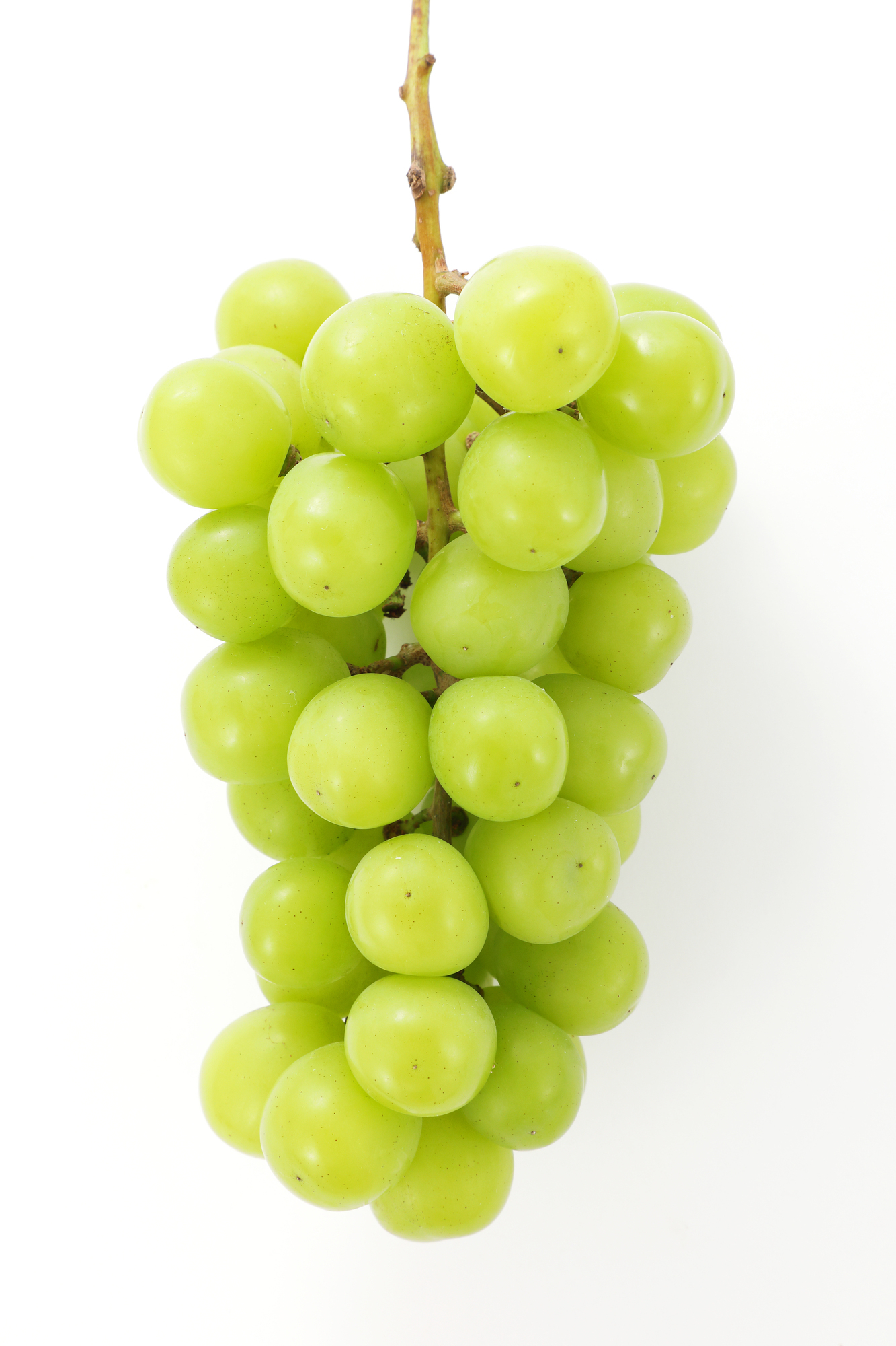 山梨のぶどう小林農園にこっと種無しシャインマスカット