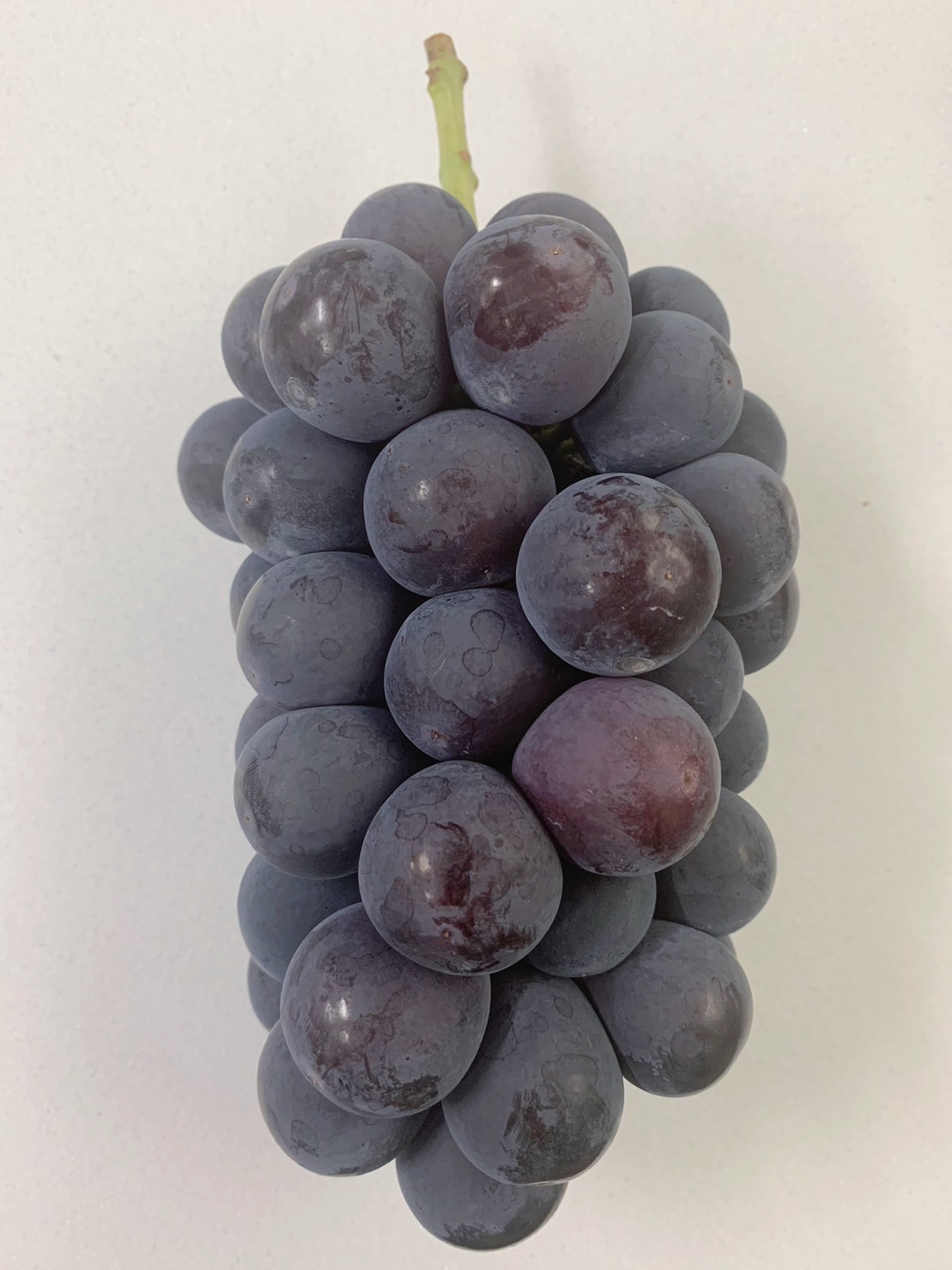 山梨のぶどう小林農園にこっと種無しシャインマスカット