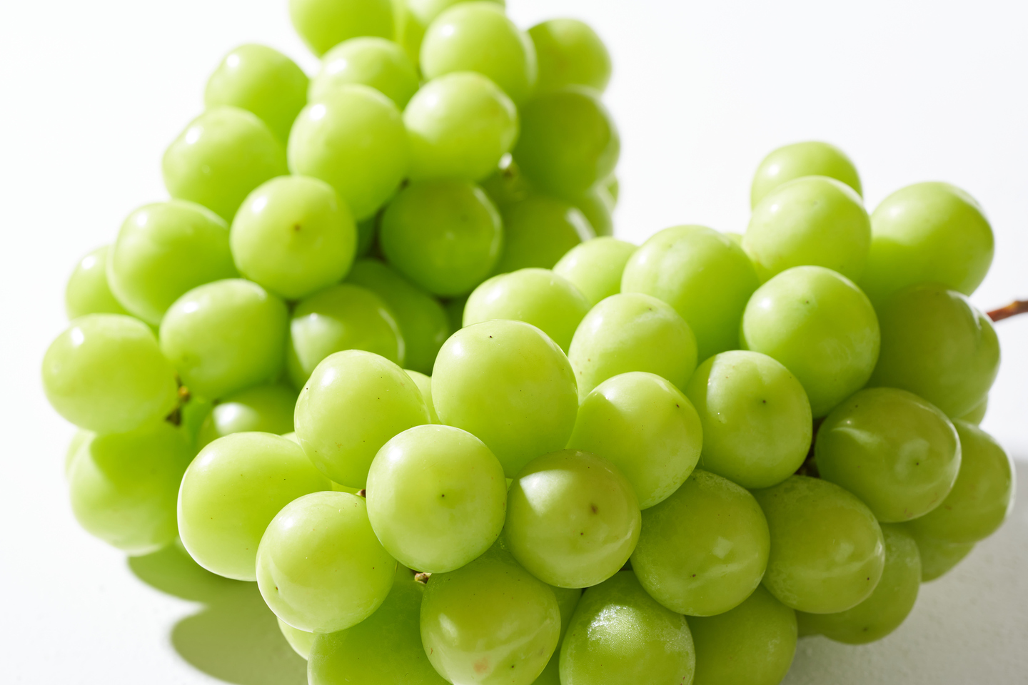 山梨のぶどう小林農園にこっと種無しシャインマスカット