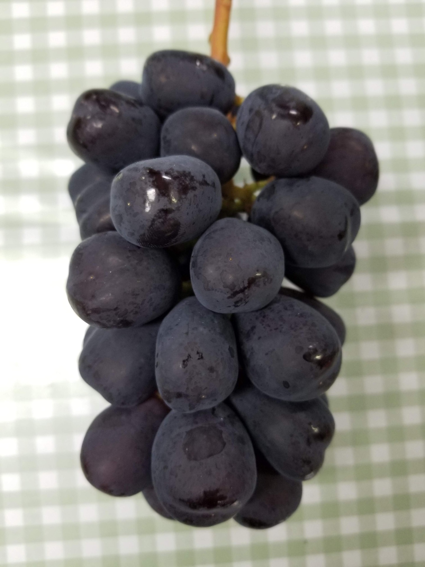 山梨のぶどう小林農園にこっと種無しシャインマスカット