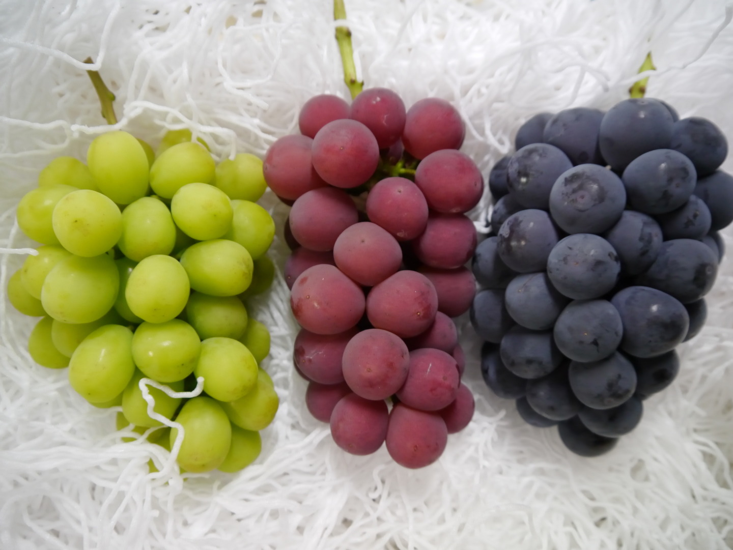 山梨のぶどう小林農園にこっと種無しシャインマスカット